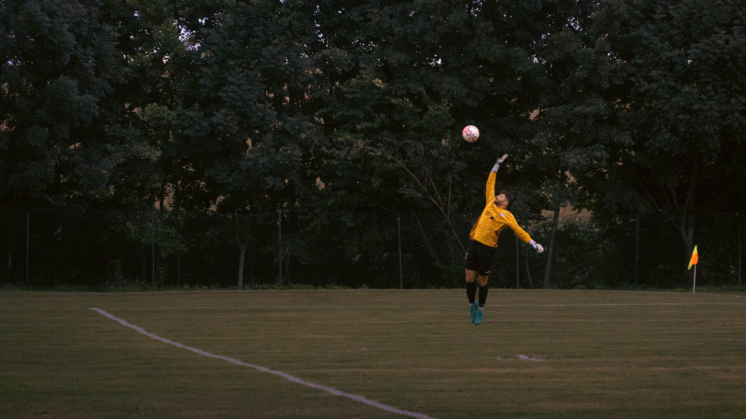 DSC00228-Avec accentuation-Bruit